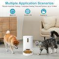 BRYN Smart Pet Feeder